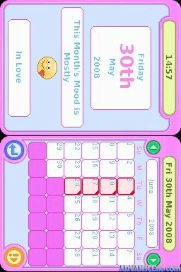 My Secret Diary screenshot 3 for Nintendo DS